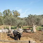 Clementina-agriturismo La Valentina בית חווה טלאמונה