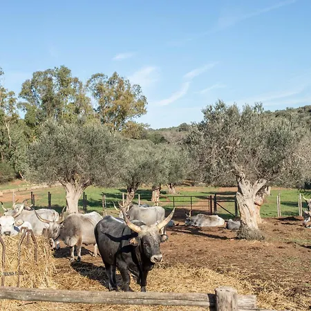 Clementina-agriturismo La Valentina Farm stay Talamone