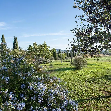 Clementina-agriturismo La Valentina Farma